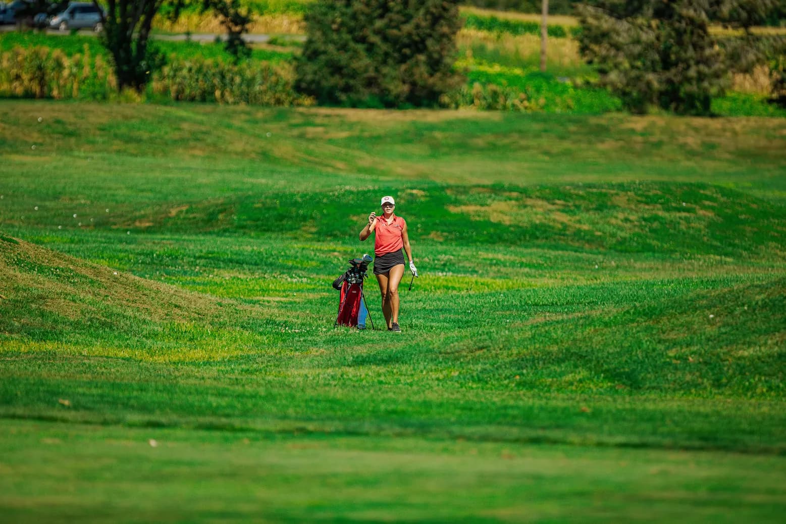 Warwick Golf
