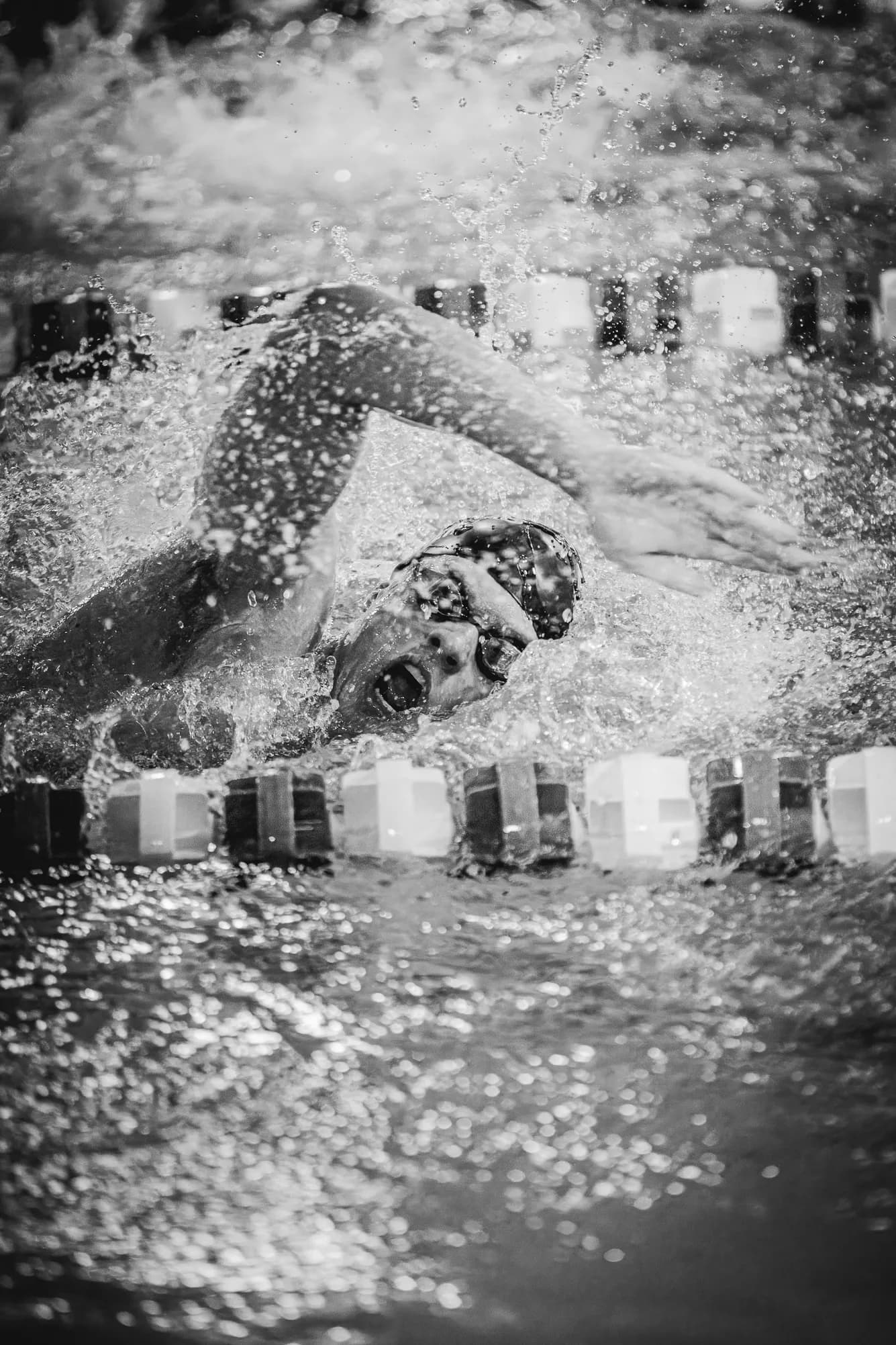 Warwick Swim