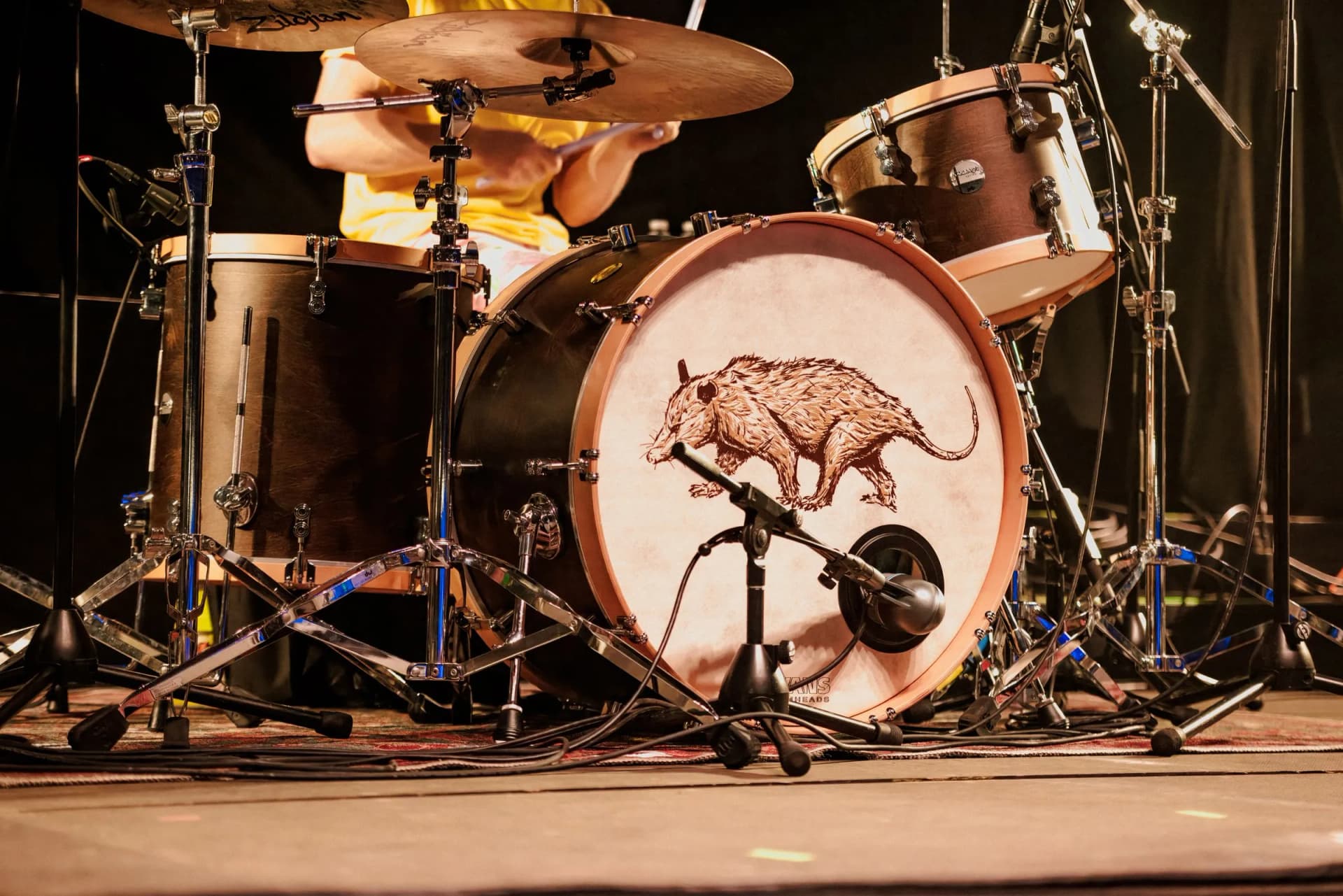 Cigarettes @ Sunset's drum kit, with a possum painted on the kick drum head